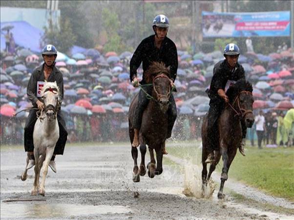 Lịch sử xuất hiện lễ hội đua ngựa Bắc Hà